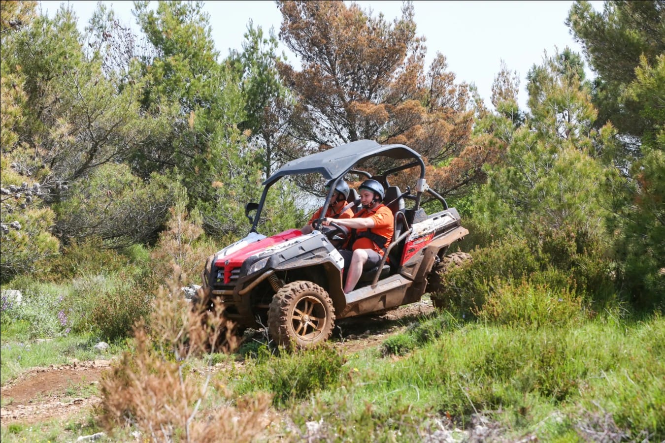 Buggy driving on off-road trail