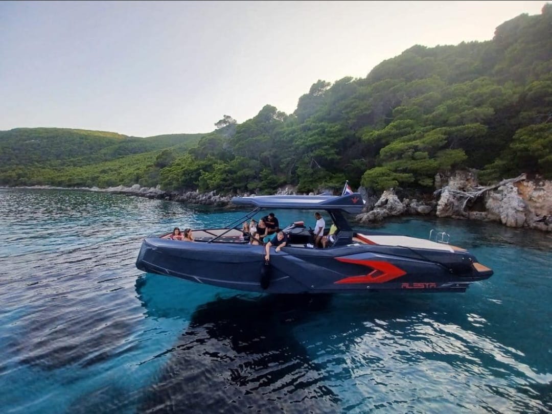 Raptor Alesta — photo 3