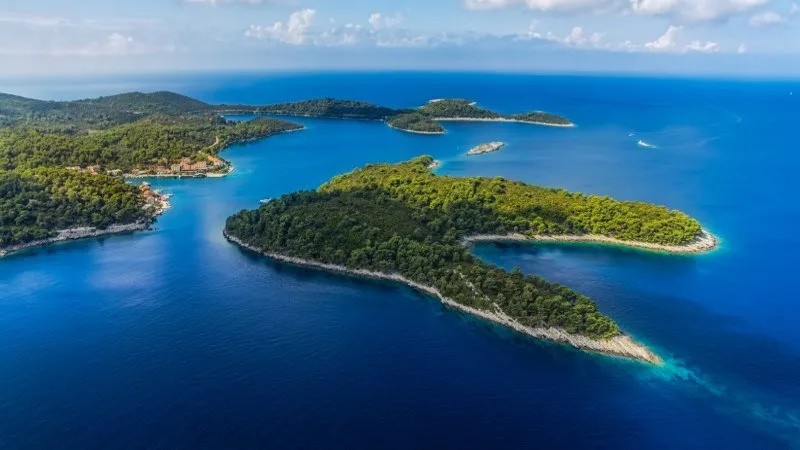 Short & Sweet Safari — photo 4