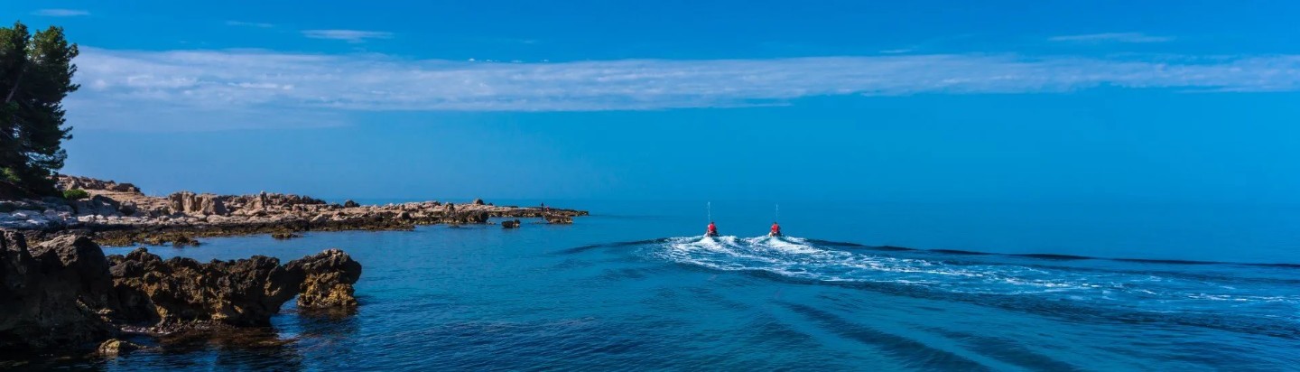 Short & Sweet Safari